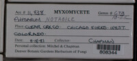 Image Associated With the Occurence